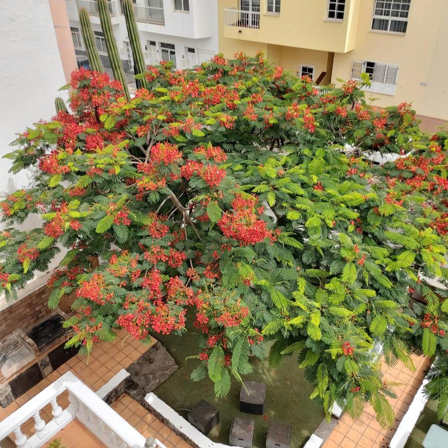 Corralejo Garden&Relax Pansiyon Dış mekan fotoğraf